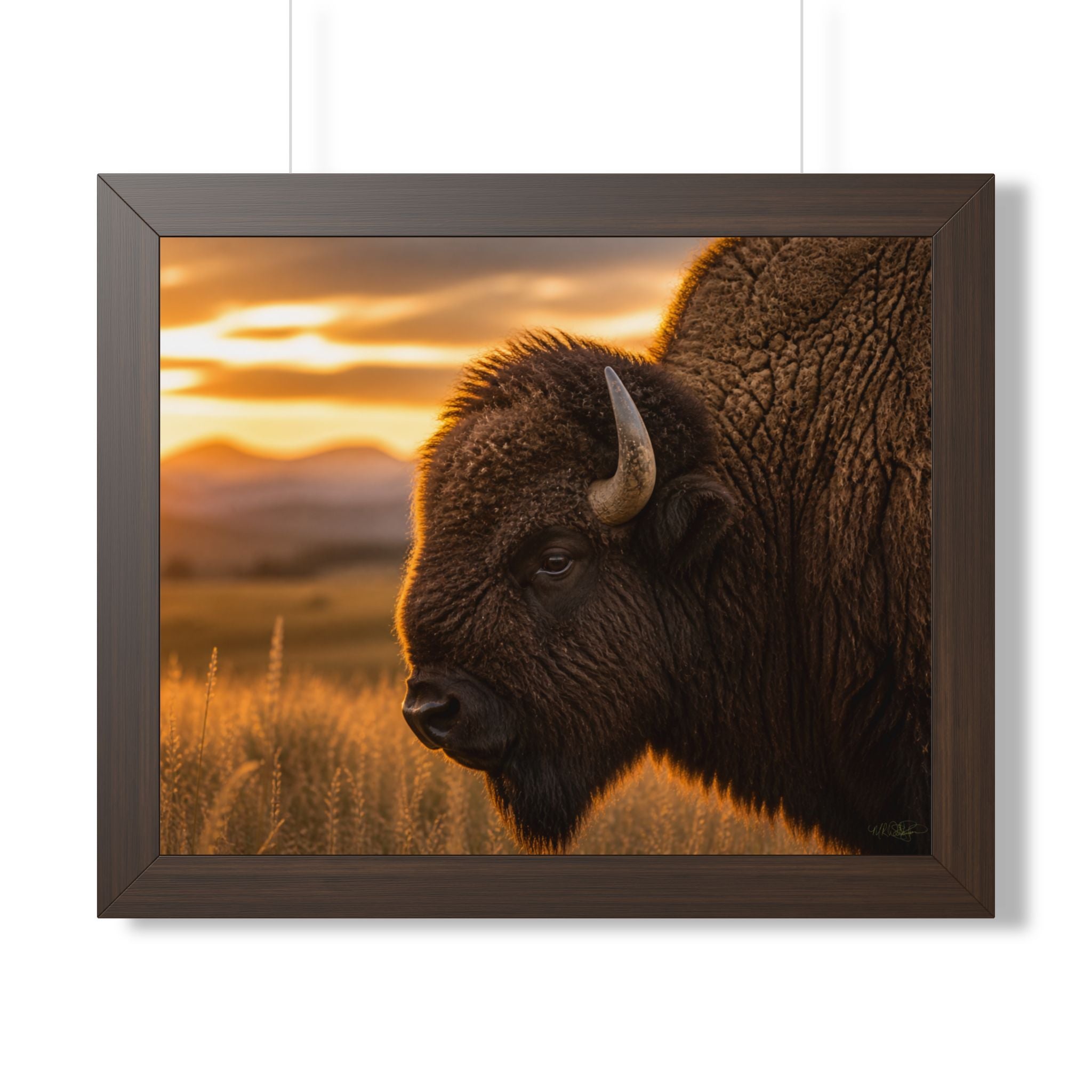 Brown frame - A majestic American bison stands watch over the prairie at sunset, capturing the strength, beauty, and timeless spirit of the American West.
