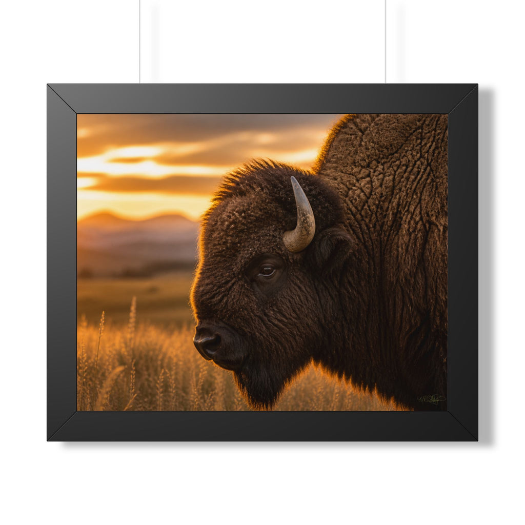Black frame - A majestic American bison stands watch over the prairie at sunset, capturing the strength, beauty, and timeless spirit of the American West.