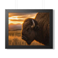Black frame - A majestic American bison stands watch over the prairie at sunset, capturing the strength, beauty, and timeless spirit of the American West.