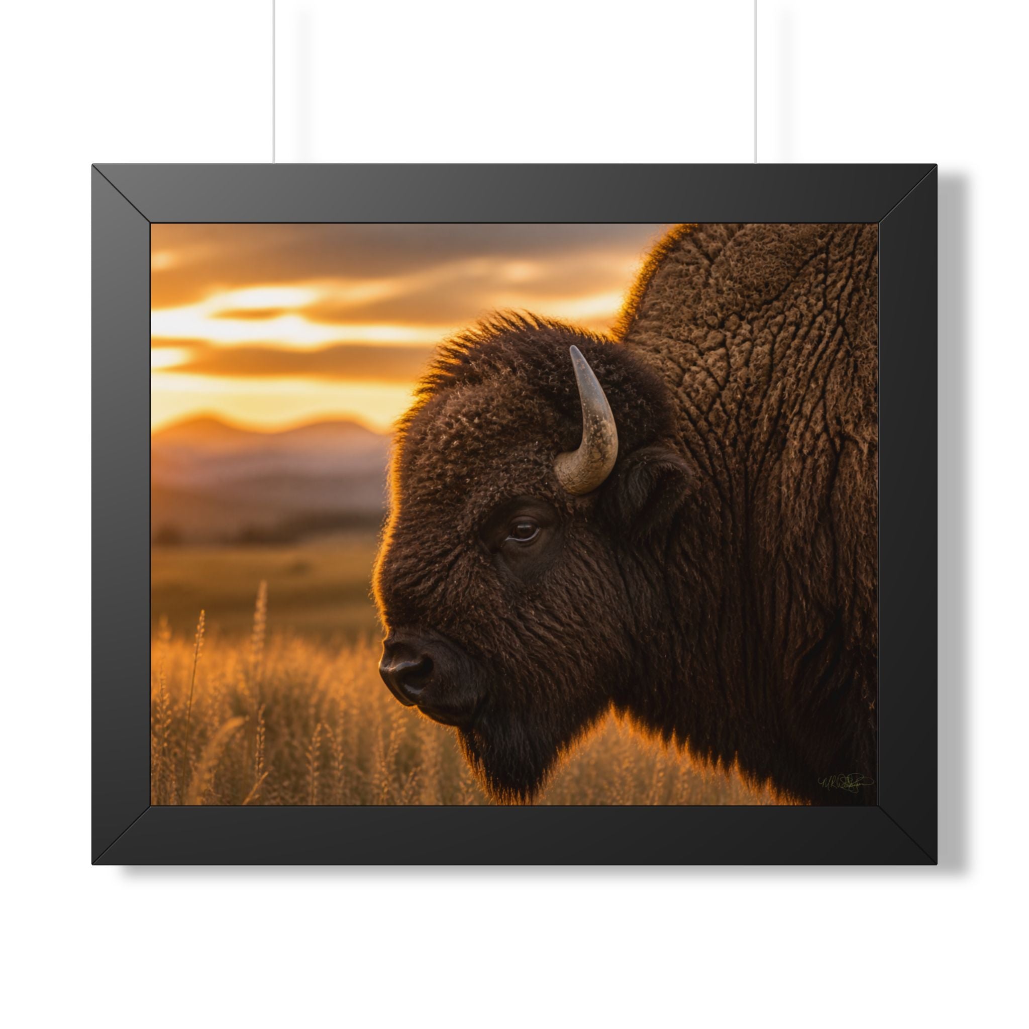 Black frame - A majestic American bison stands watch over the prairie at sunset, capturing the strength, beauty, and timeless spirit of the American West.