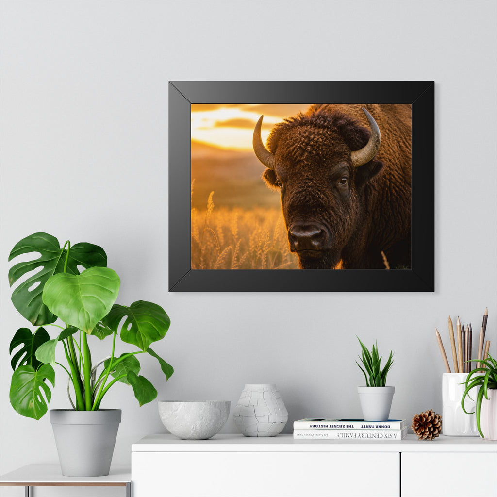 Back frame in office or entryway - A powerful portrait of an American bison standing proudly at sunset, symbolizing strength, resilience, and the enduring spirit of the prairie.