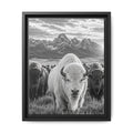 A striking black-and-white wildlife photograph featuring a rare white bison leading its herd beneath towering mountain peaks. Bold, timeless, and rich with western character, this fine art image celebrates the power and majesty of the American wilderness.