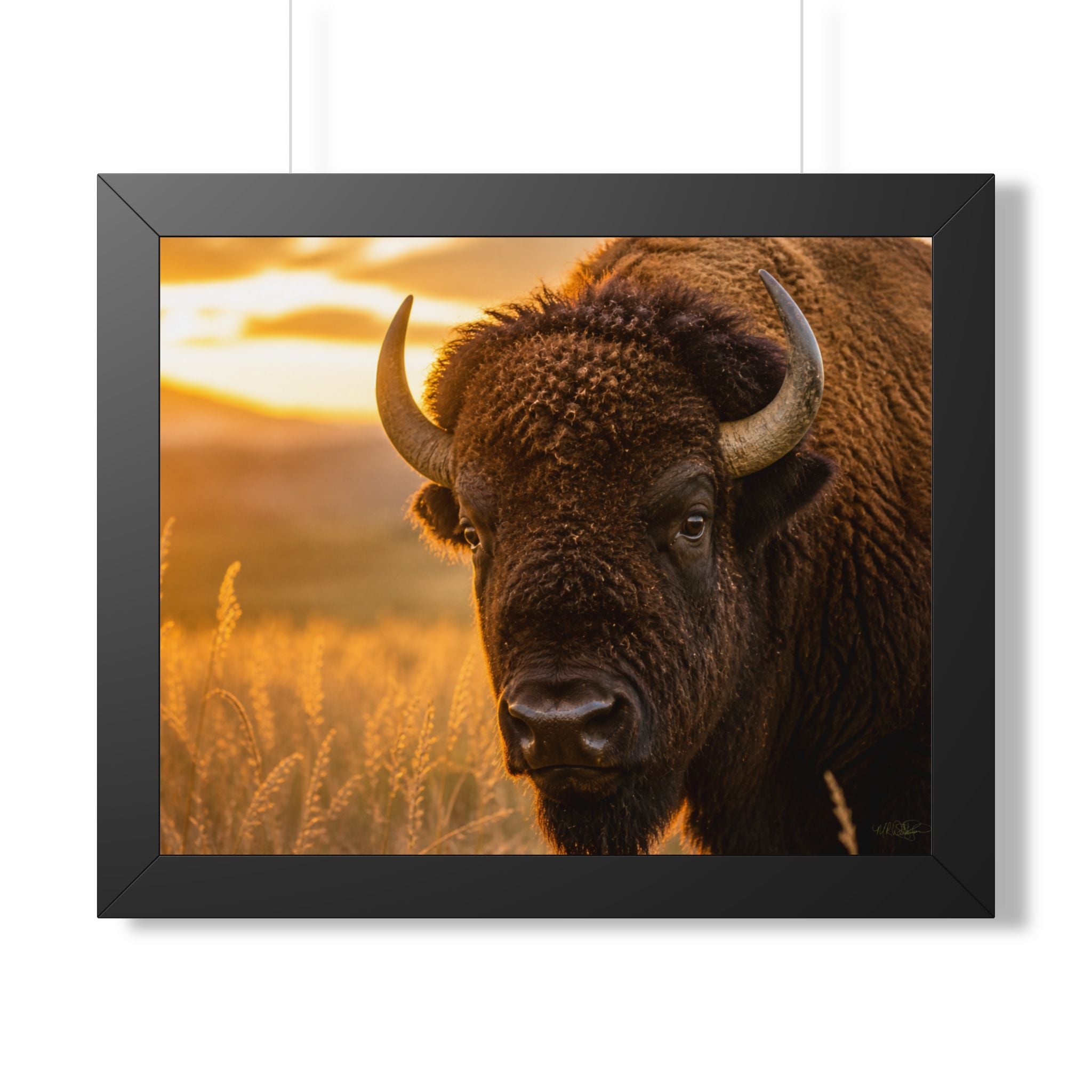 A powerful portrait of an American bison standing proudly at sunset, symbolizing strength, resilience, and the enduring spirit of the prairie.