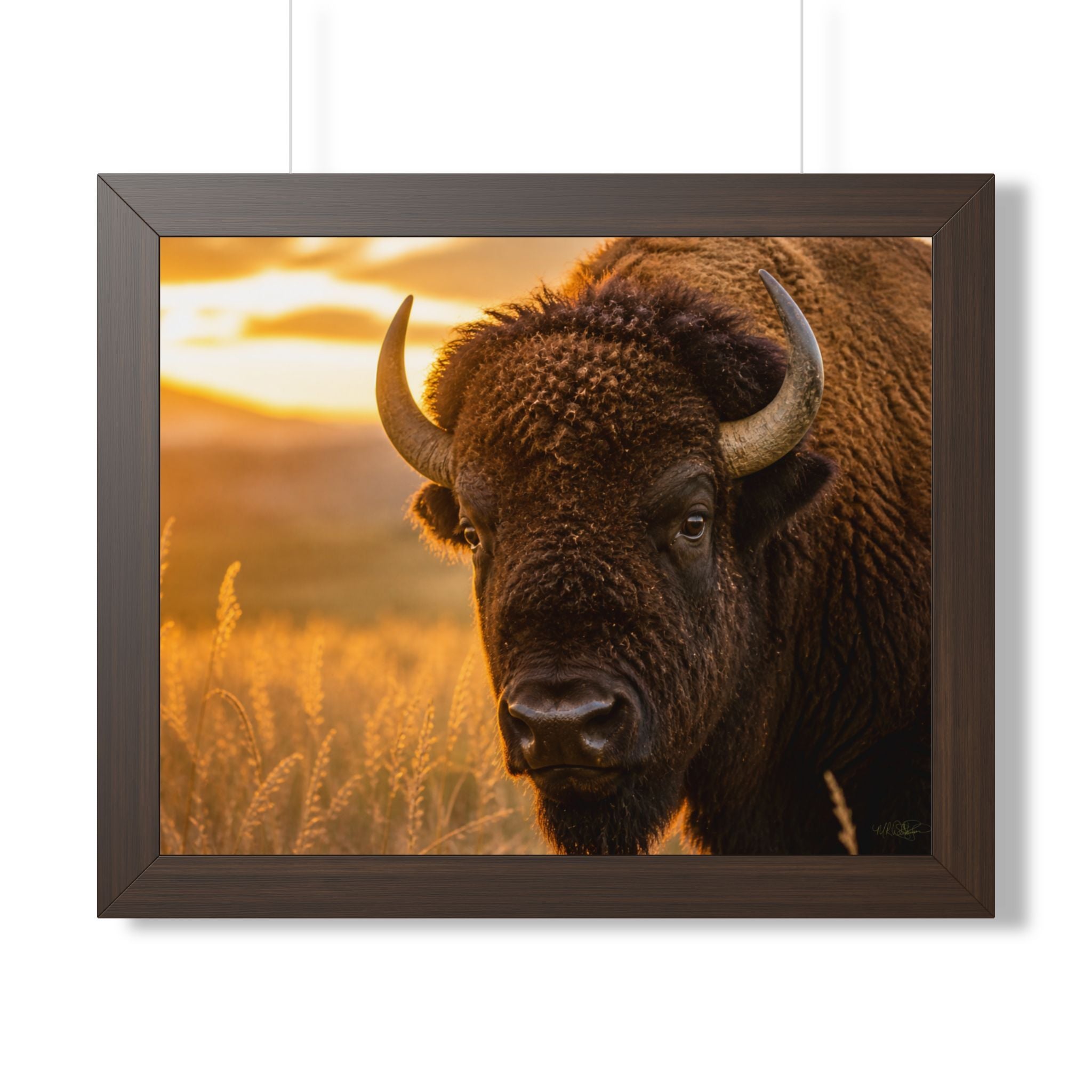 Brown Wall Image - A powerful portrait of an American bison standing proudly at sunset, symbolizing strength, resilience, and the enduring spirit of the prairie.