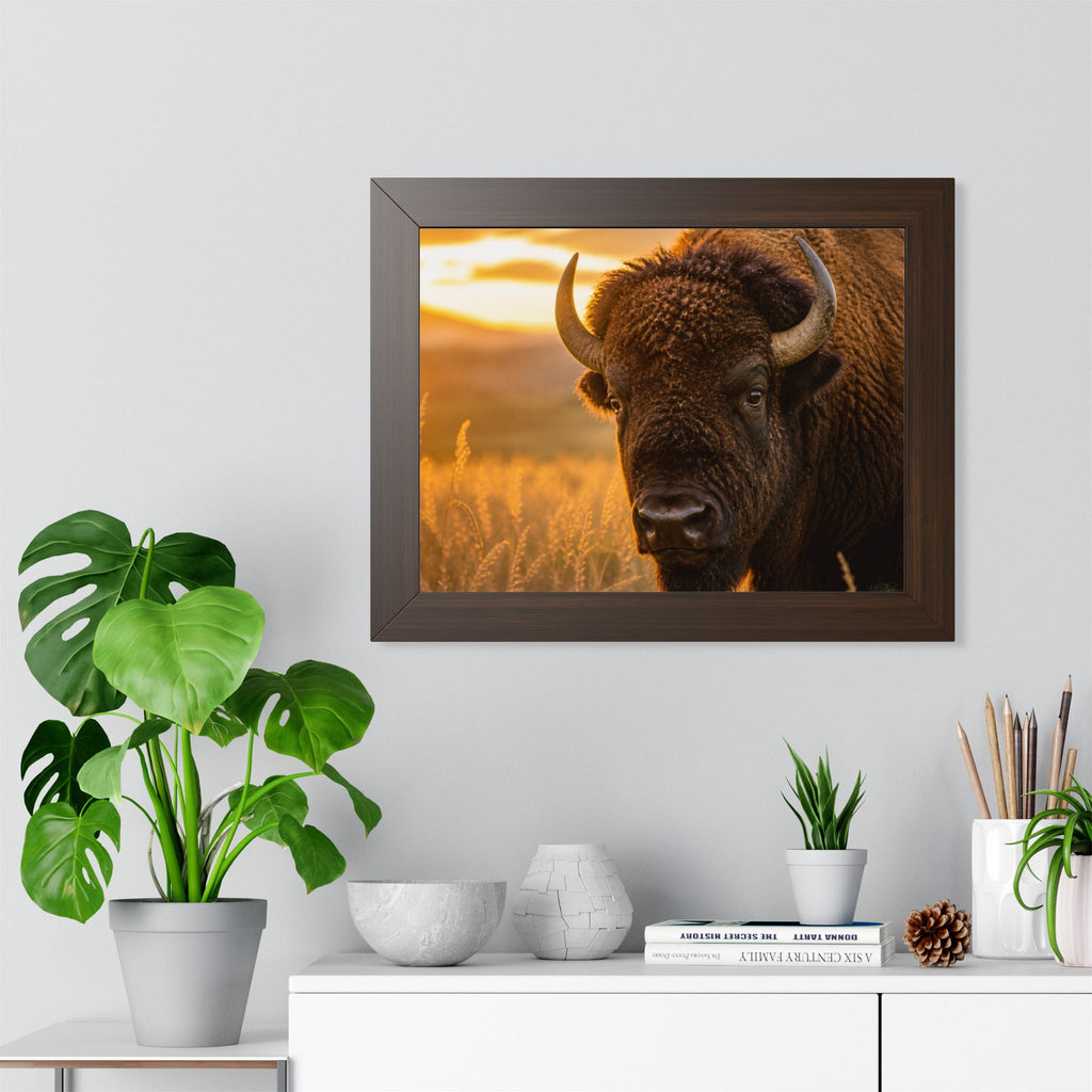 Brown frame in office or entryway - A powerful portrait of an American bison standing proudly at sunset, symbolizing strength, resilience, and the enduring spirit of the prairie.