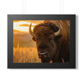 A powerful portrait of an American bison standing proudly at sunset, symbolizing strength, resilience, and the enduring spirit of the prairie.