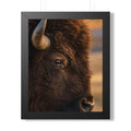 Close up - A dramatic close-up of an American bison reveals the strength, wisdom, and enduring spirit found within its watchful gaze.